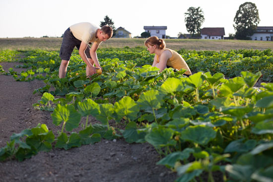 A New Guide to Farming Grants, Loans and Resources